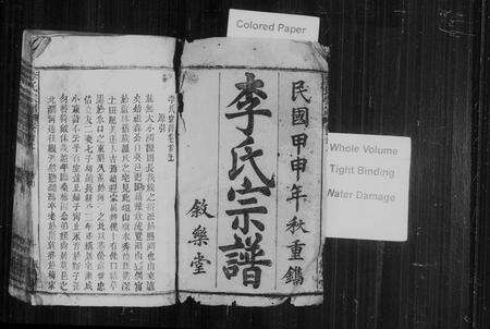 安徽李氏族谱-李氏宗谱 [20卷,首2卷].pdf电子版预览图5