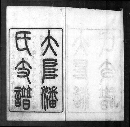 安徽潘氏族谱-大阜潘氏支谱 [24卷,首1卷].pdf电子版预览图5