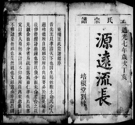 安徽王氏族谱-东楼王氏宗谱 [9卷].pdf电子版预览图5