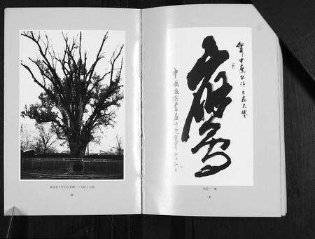 安徽韦氏族谱-临泉县韦应村韦氏谱志.pdf电子版预览图5