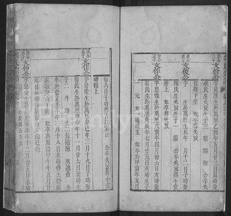 安徽魏氏族谱-魏氏宗谱 [残卷].pdf电子版预览图5