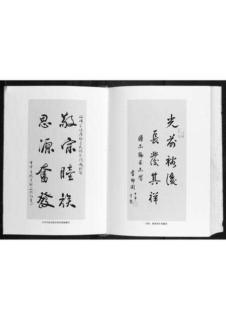 福建李氏族谱-岐峰豸峰厚福李氏谱志.pdf电子版预览图5