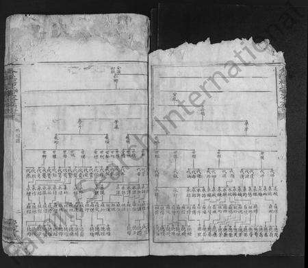 江西杨氏族谱-舍溪杨氏重修族谱 [不分卷].pdf电子版预览图5