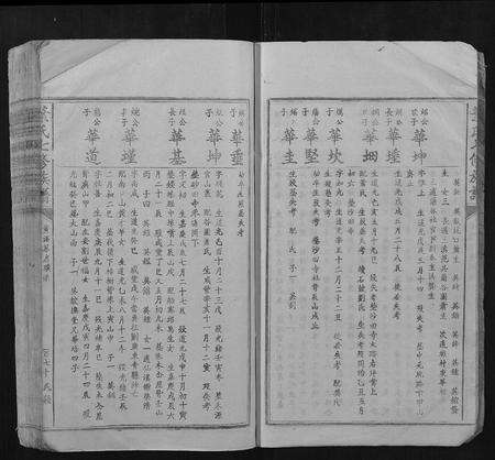 江西叶氏族谱-叶氏七修族谱.pdf电子版预览图5