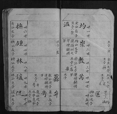 江西叶氏族谱-叶氏家谱.pdf电子版预览图5