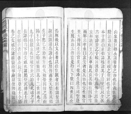 江西袁氏族谱-袁氏十修族谱[不分卷].pdf电子版预览图5