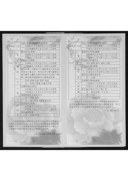 福建李氏族谱-歳豊训亭公派宗支图.pdf电子版预览图5