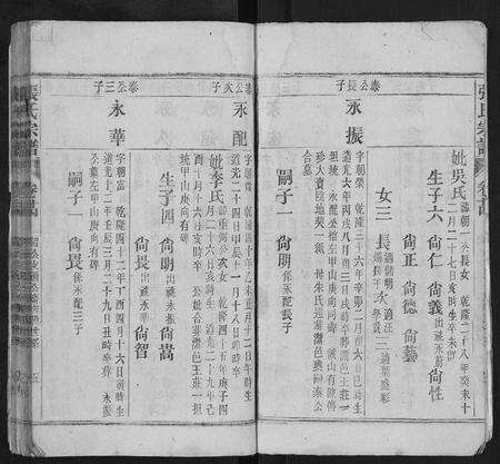 安徽张氏族谱-张氏宗谱.pdf电子版预览图5