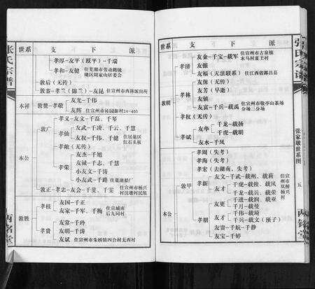 安徽张氏族谱-张氏宗谱.pdf电子版预览图5