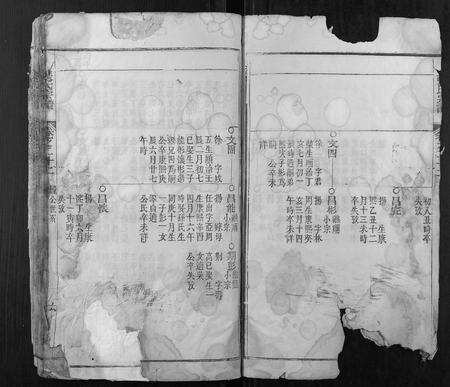 安徽张氏族谱-张氏宗谱.pdf电子版预览图5