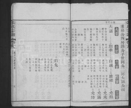 安徽张氏族谱-张氏宗谱 [残卷].pdf电子版预览图5