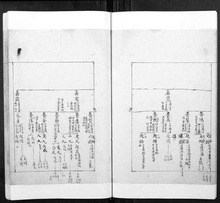 安徽张氏族谱-张氏宗谱[不分卷].pdf电子版预览图5