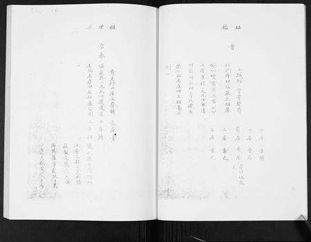 安徽张氏族谱-张氏家谱.pdf电子版预览图5