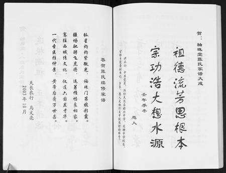 安徽张氏族谱-张氏家谱.pdf电子版预览图5