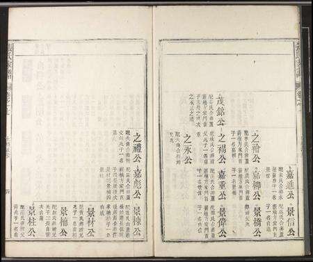 安徽张氏族谱-张氏家谱.pdf电子版预览图5