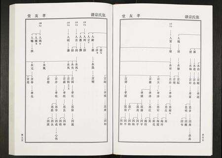 安徽张氏族谱-张氏家谱禄公支系.pdf电子版预览图5