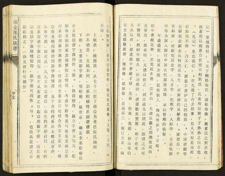 江西张氏族谱-瑞金张氏族谱.pdf电子版预览图5