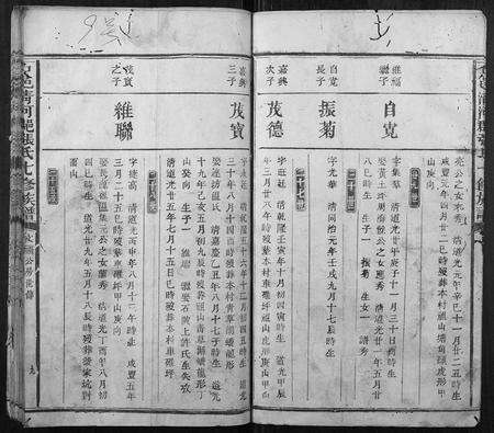 江西张氏族谱-石邑清河郡张氏七修族谱.pdf电子版预览图5