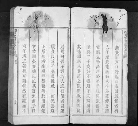 江西张氏族谱-丰邑中官田张氏房谱[不分卷].pdf电子版预览图5