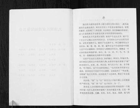 安徽周氏族谱-明光市涧溪镇九塘周氏家谱[不分卷].pdf电子版预览图5