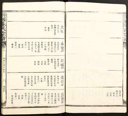 江西朱氏族谱-沛国朱氏宗谱.pdf电子版预览图5