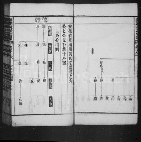安徽奚氏族谱-安徽省芜湖县奚氏宗谱.pdf电子版预览图5