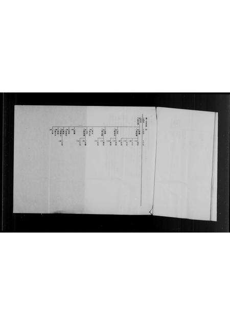 福建李氏族谱-泉州府双溪来台李氏家谱.pdf电子版预览图5