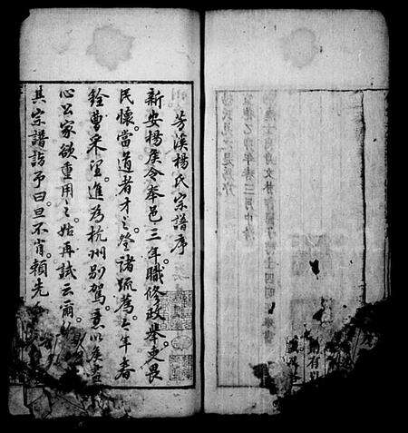 安徽杨氏族谱-新安芳溪杨氏宗支录(休宁芳溪杨氏宗支录).pdf电子版预览图5