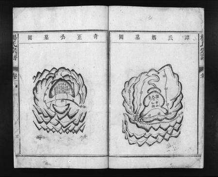 江西杨氏族谱-杨氏宗谱 [残卷].pdf电子版预览图5