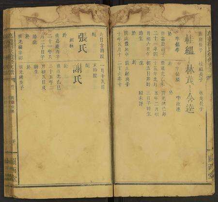 江西杨氏族谱-杨氏支谱 [5卷及卷首](万载杨氏续修支谱).pdf电子版预览图5