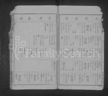 江西叶氏族谱-叶氏宗谱 [不分卷].pdf电子版预览图5