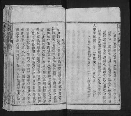 安徽王氏族谱-王氏族谱 [15卷,首2卷].pdf电子版预览图5