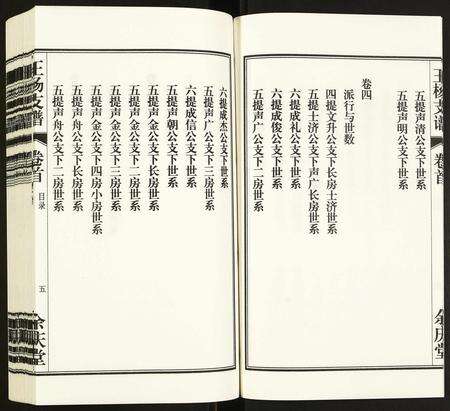 安徽王杨氏族谱-王杨支谱.pdf电子版预览图5