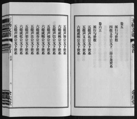 安徽王杨氏族谱-王杨支谱[13卷首末各1卷].pdf电子版预览图5