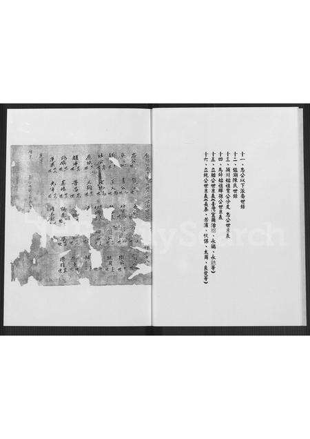 福建陈氏族谱-福建省漳浦县马坪镇后康村山尾社山美堂陈氏家谱 [不分卷].pdf电子版预览图5