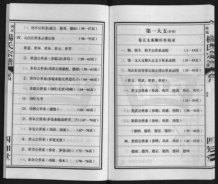 安徽杨氏族谱-梁园地区杨氏宗谱.pdf电子版预览图5