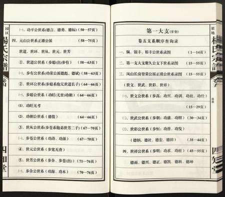 安徽杨氏族谱-杨氏宗谱.pdf电子版预览图5