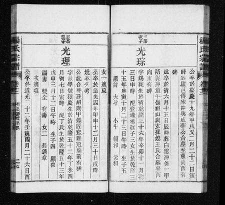 安徽杨氏族谱-杨氏宗谱 [30卷首1卷].pdf电子版预览图5