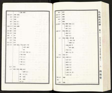 安徽杨氏族谱-礼让杨氏宗谱.pdf电子版预览图5