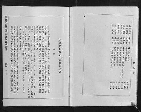 江西杨氏族谱-宁都宏农杨氏二届联修大成族谱[不分卷].pdf电子版预览图5