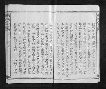 江西杨氏族谱-杨氏宗谱.pdf电子版预览图5