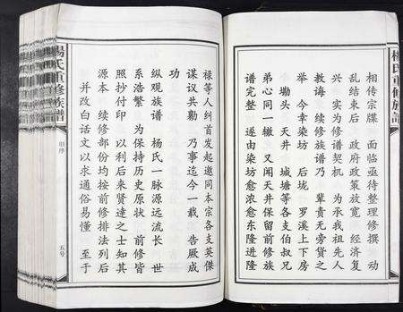 江西杨氏族谱-杨氏重修族谱[不分卷].pdf电子版预览图5