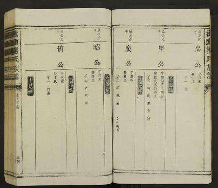 江西杨氏族谱-桥头杨氏族谱 [不分卷].pdf电子版预览图5