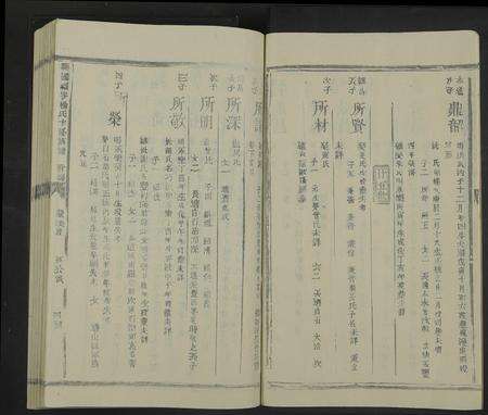 江西杨氏族谱-兴国福岭杨氏十修族谱[11本].pdf电子版预览图5