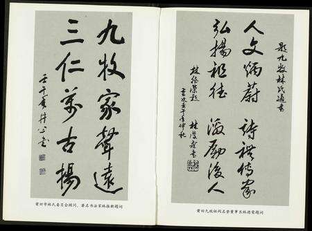 福建林氏族谱-九牧林氏.pdf电子版预览图5