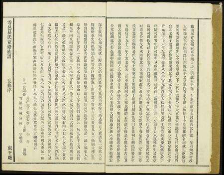 江西易氏族谱-雩邑易氏兖修族谱.pdf电子版预览图5