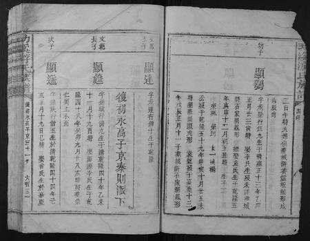 江西游氏族谱-功溪游氏族谱.pdf电子版预览图5