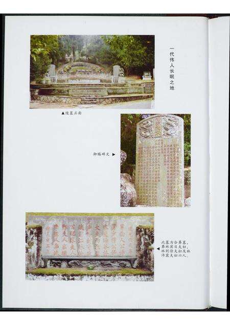 福建林氏族谱-林则徐世系录.pdf电子版预览图5