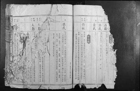 江西袁氏族谱-定南潭庆袁氏四修族谱.pdf电子版预览图5