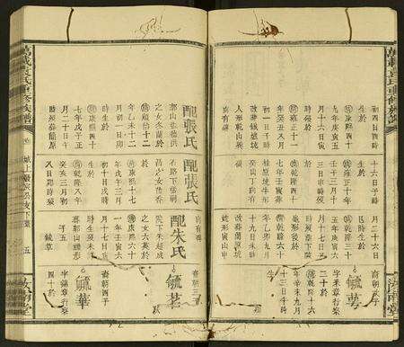 江西袁氏族谱-万载袁氏重修族谱 [残卷].pdf电子版预览图5